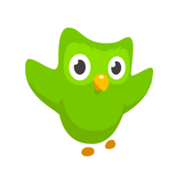 Duolingo al, Duolingo satın al